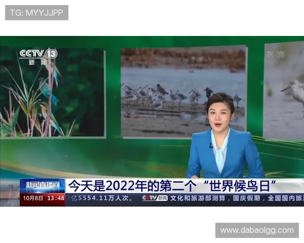 电视直播新闻频道全天候播报全球热点事件